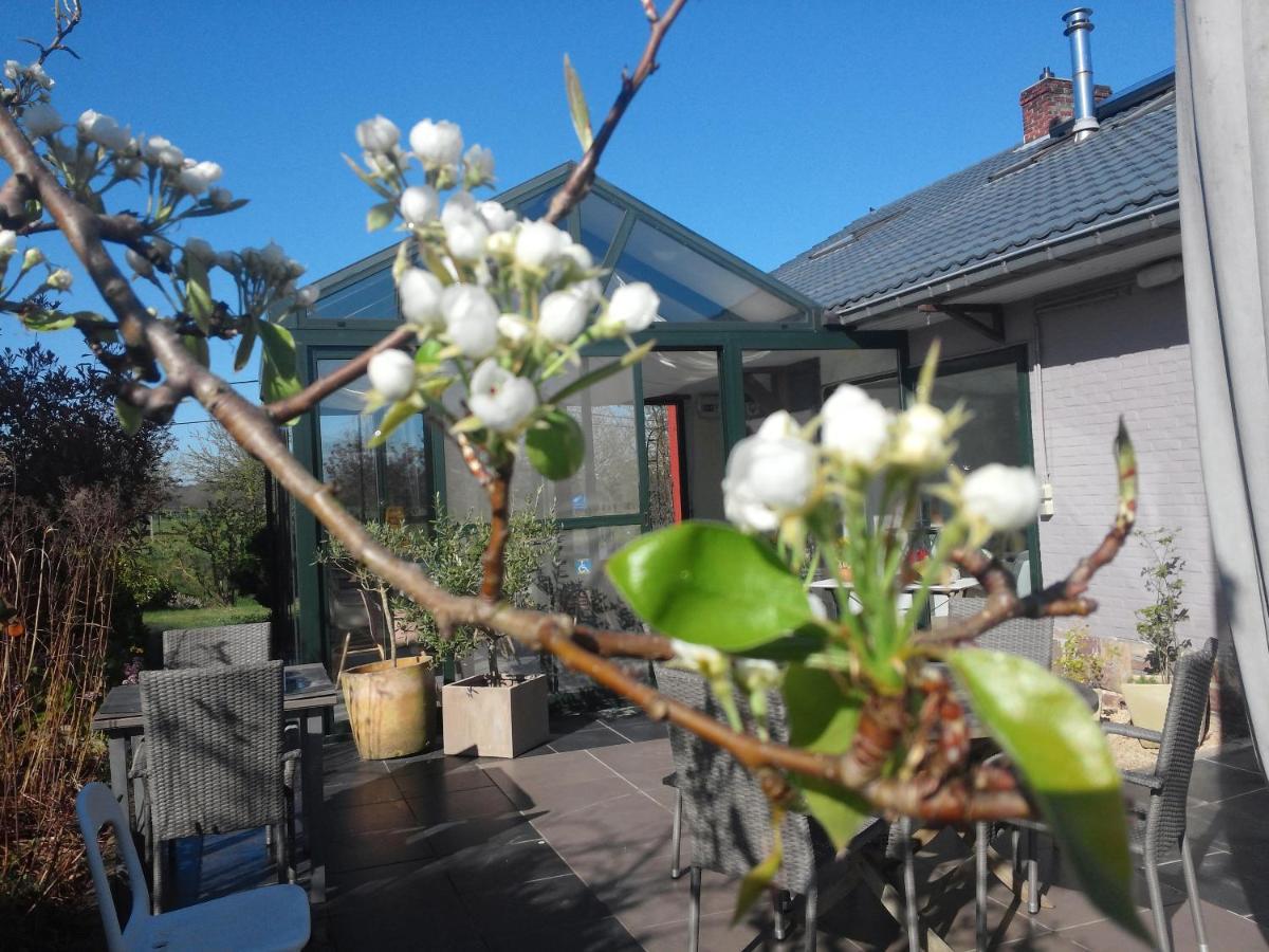 Pluimpapaver Hotel & Glamping Aarschot Eksteriør billede